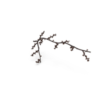 Bare Tree Naked Branch PNG & PSD Images