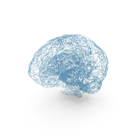 Wire Model Of The Human Brain PNG & PSD Images