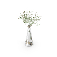Decorative Flowers In Glass Vase PNG & PSD Images