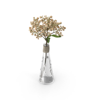 Seedbox In Glass Vase PNG & PSD Images