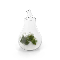 Grass And Sand In Glass Vase PNG & PSD Images