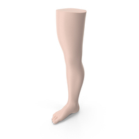 Male Mannequin Leg PNG & PSD Images