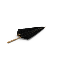 Umbrella Lace Parasol Folded Black PNG & PSD Images