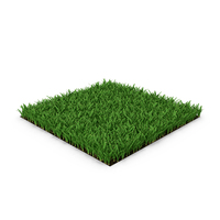 Saint Augustine Warm Season Grass PNG & PSD Images