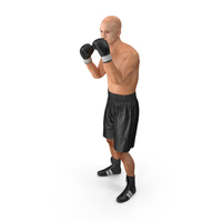 Adult Boxer Man Pose PNG & PSD Images