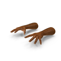 African Man Hands With Hair PNG & PSD Images