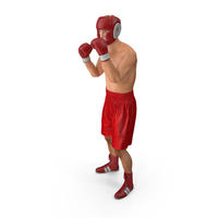 Boxer Man Pose PNG & PSD Images