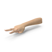 Female Hand Pose PNG & PSD Images