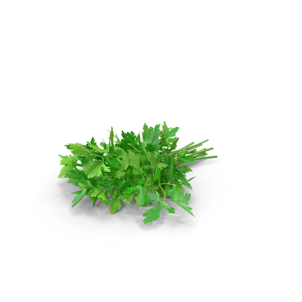 Fresh Parsley Leaves Bunch PNG & PSD Images