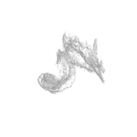 Splash PNG & PSD Images