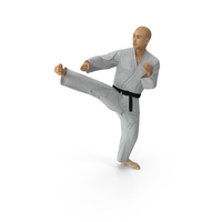Japanese Karate Fighter Pose PNG & PSD Images