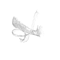 Splash PNG & PSD Images