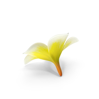 Plumeria Yellow Tropical Flower Hawaiian Lei PNG & PSD Images