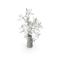 Olive Branch In Clay Jug PNG & PSD Images