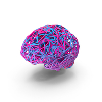 Wire Model Of Human Brain PNG & PSD Images