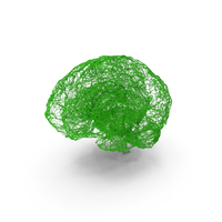 Green Mesh Model Of Human Brain PNG & PSD Images