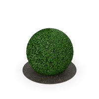 Round Bush PNG & PSD Images