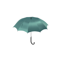 Small Umbrella Green PNG & PSD Images