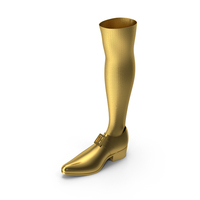 Right Shoe With Gold Sock PNG & PSD Images