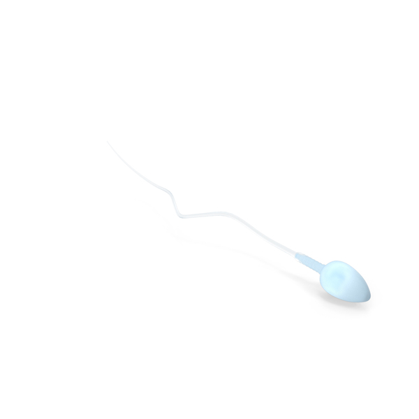 Sperm PNG & PSD Images