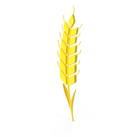 GRAIN PNG & PSD Images