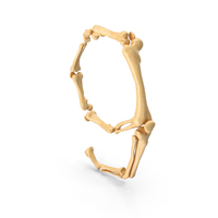 Halloween Bones Number 9 PNG & PSD Images