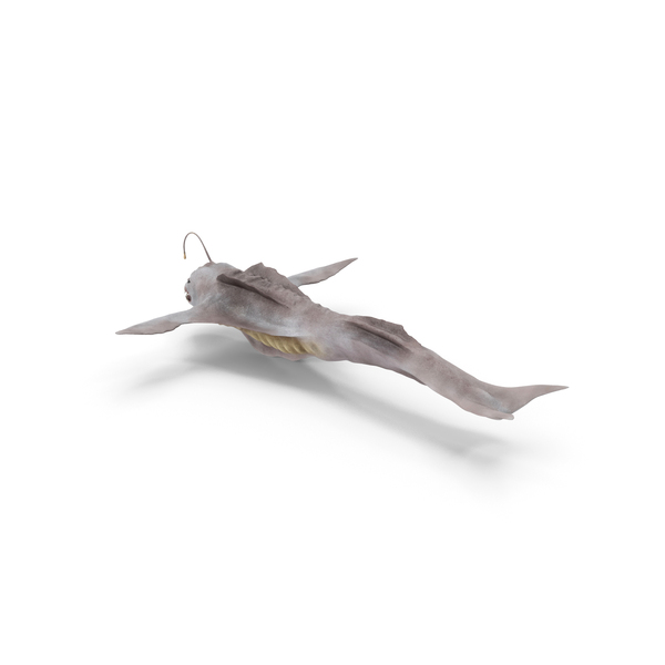 Leviathan PNG & PSD Images