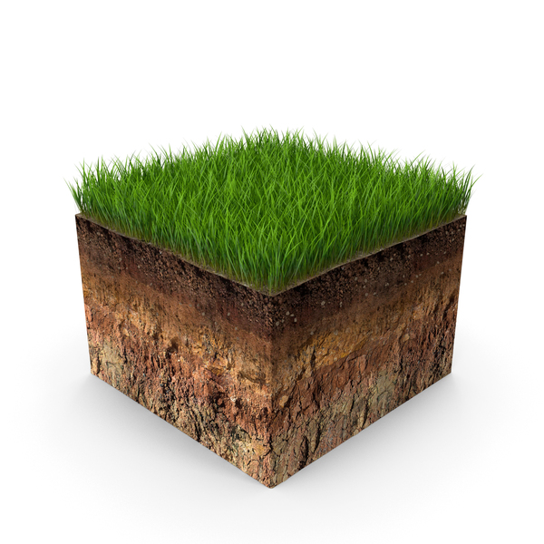 Cut of Soil With Green Grass PNG & PSD Images