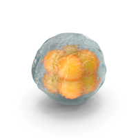 Human Cell PNG & PSD Images