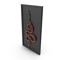 Snake Decor PNG & PSD Images