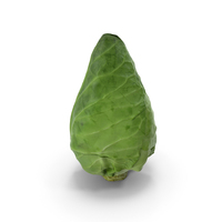 Sweetheart Cabbage PNG & PSD Images