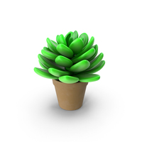 Little Green Plant PNG & PSD Images