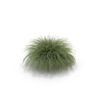Grass PNG & PSD Images