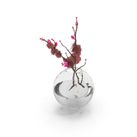 Red Flower in Vase PNG & PSD Images