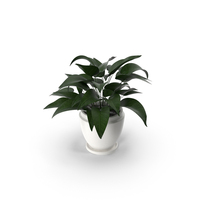 Potted Plant PNG & PSD Images