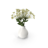 Yarrow Milfoil in Vase PNG & PSD Images