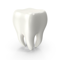 Human Tooth PNG & PSD Images