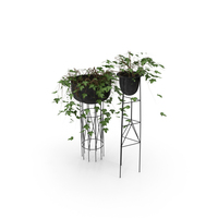 Two Wire Metal Baskets with Ivy for Decor PNG & PSD Images