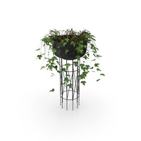 Wire Metal Basket with Ivy for Decor PNG & PSD Images