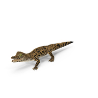 Baby Crocodile Dark Color PNG & PSD Images