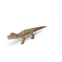 Baby Crocodile Light Color PNG & PSD Images