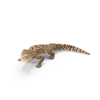 Baby Crocodile Light Color Pose PNG & PSD Images