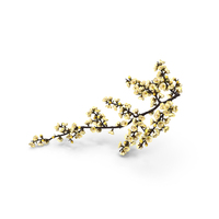 Yellow Cherry Blossom Branch PNG & PSD Images