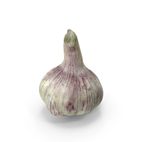 Young Garlic Bulb PNG & PSD Images