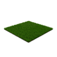 Zoysia Grass PNG & PSD Images