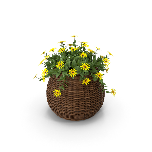 Doronicum Bouquet In Rattan Basket PNG & PSD Images