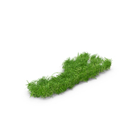 Grass Footprint PNG & PSD Images