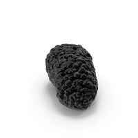 Mulberry Fruit Black PNG & PSD Images