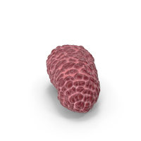 Pink Mulberry Fruit PNG & PSD Images