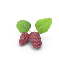 Mulberry Fruit Pink with Leaves PNG & PSD Images